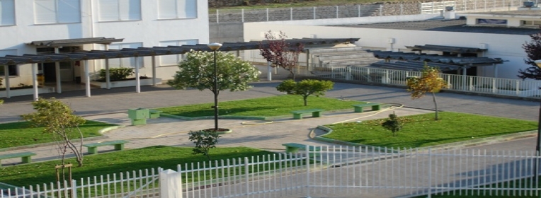 foto1